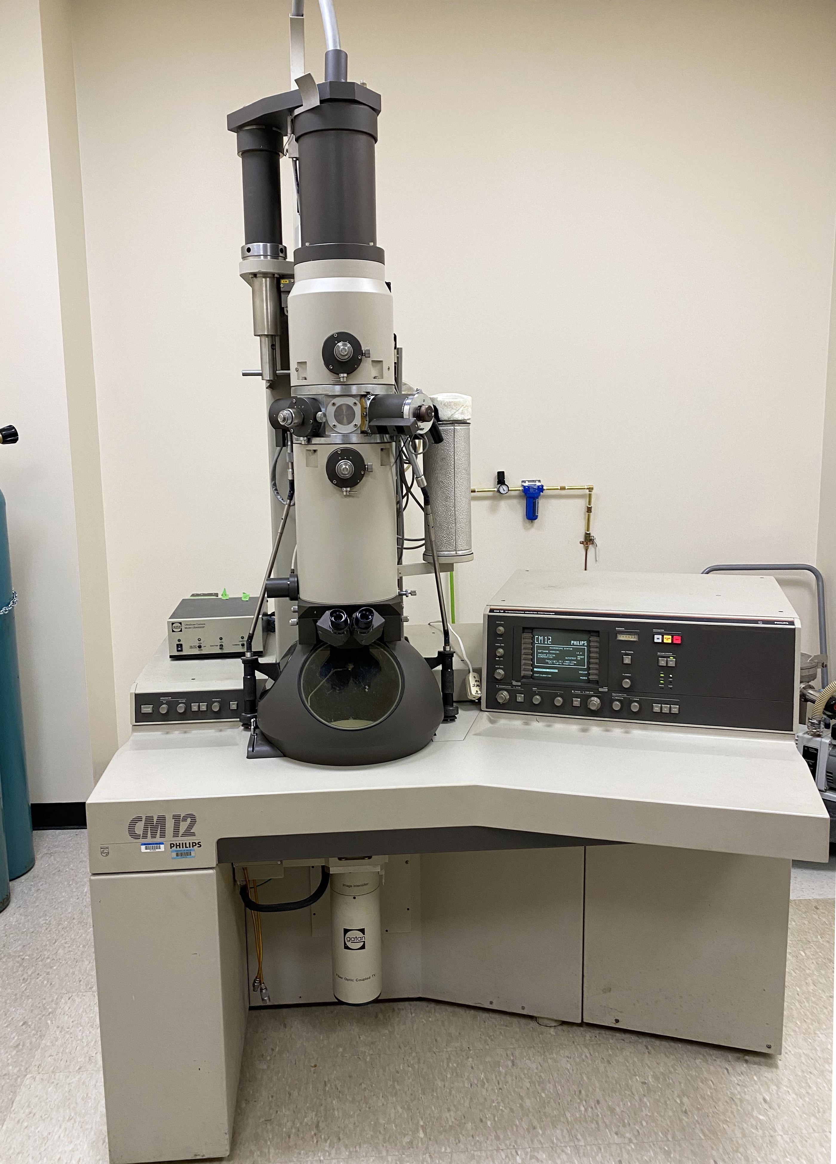 TEM Micrographs – The Costantini Lab